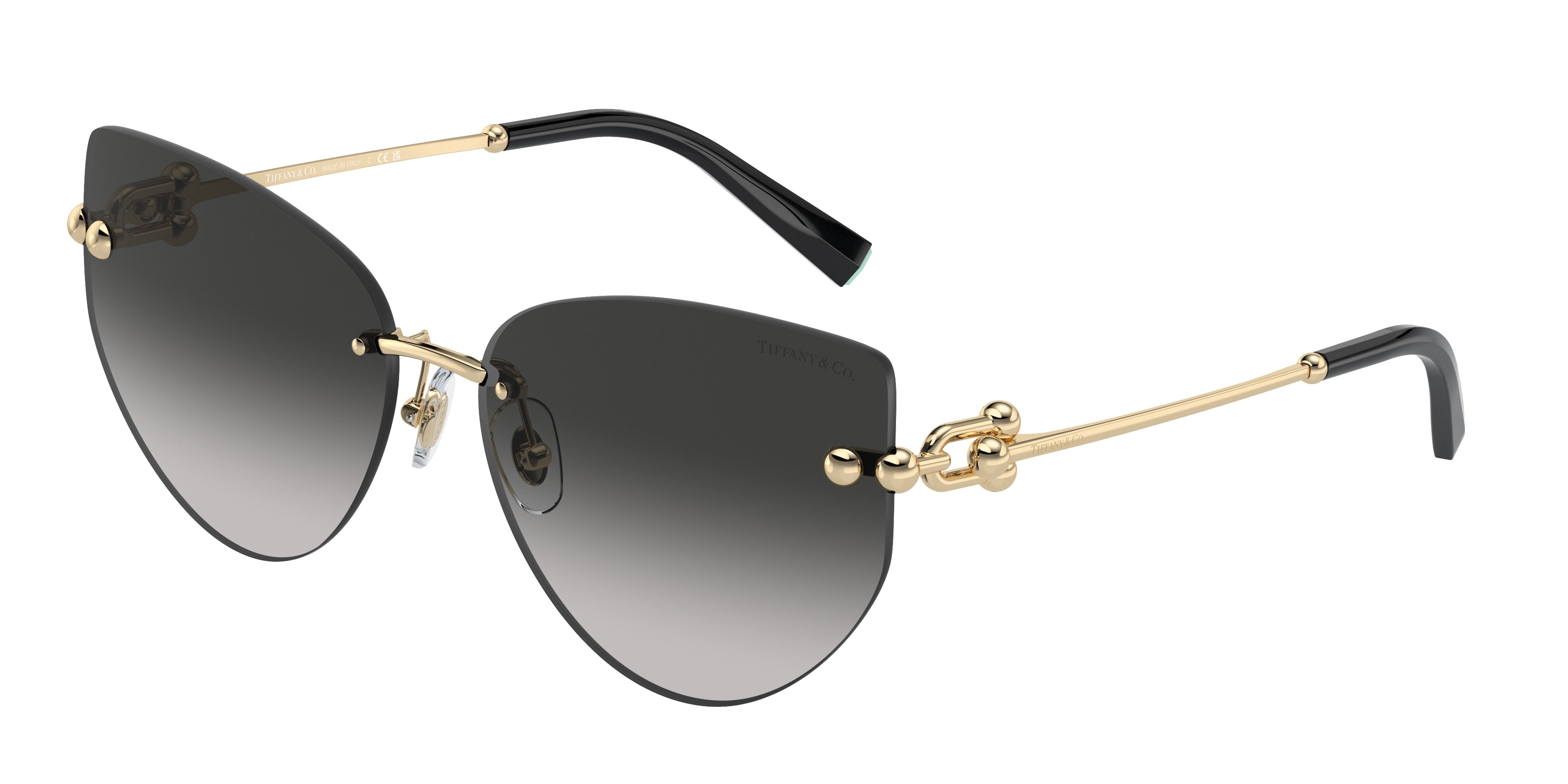 Gafas de Sol Tiffany&Co TF3096 60213C