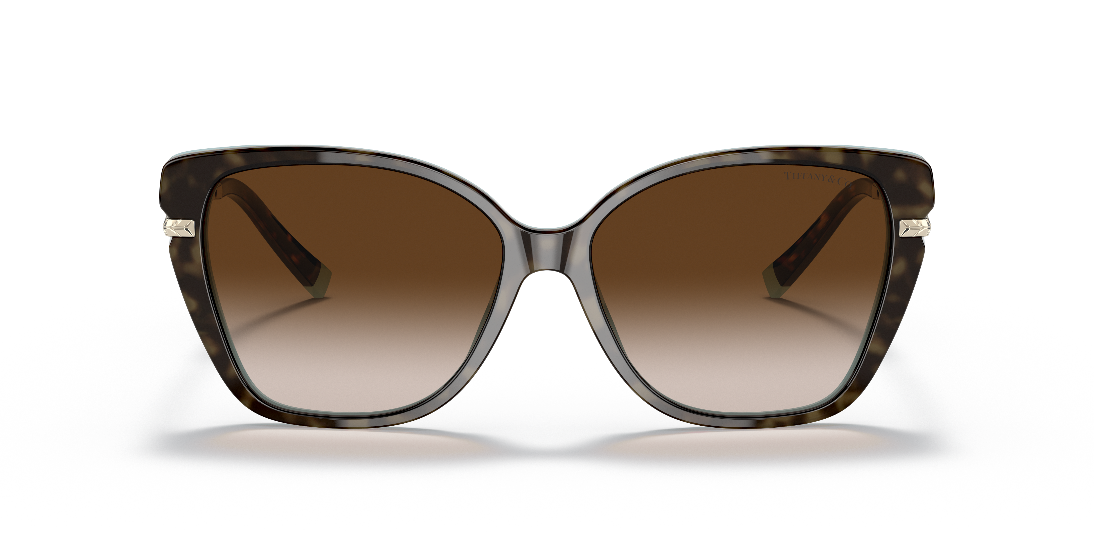 Sunglasses Tiffany & Co. TF4190 81343B 57 15