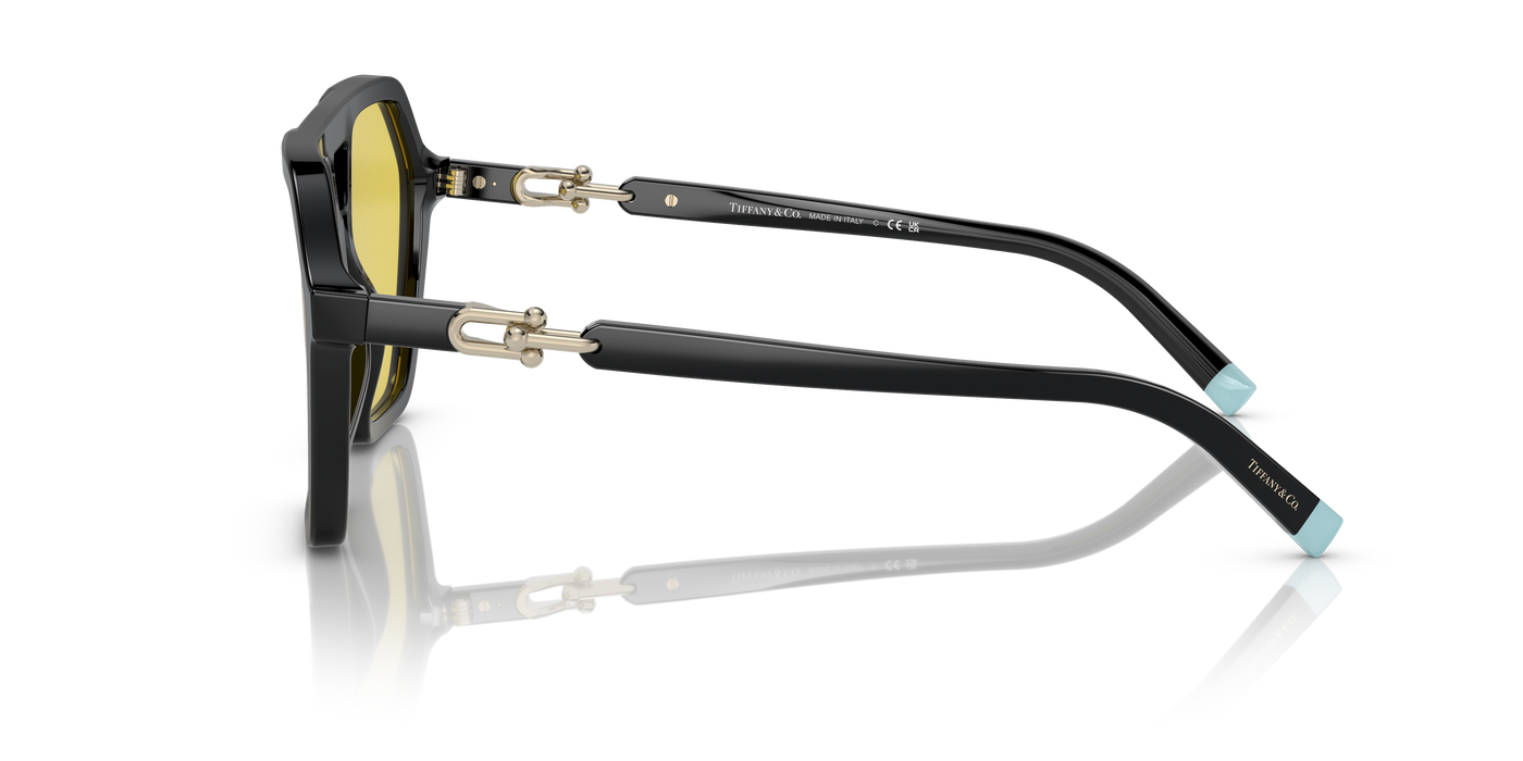 Gafas de Sol Tiffany & Co. TF4198 800185 58 17
