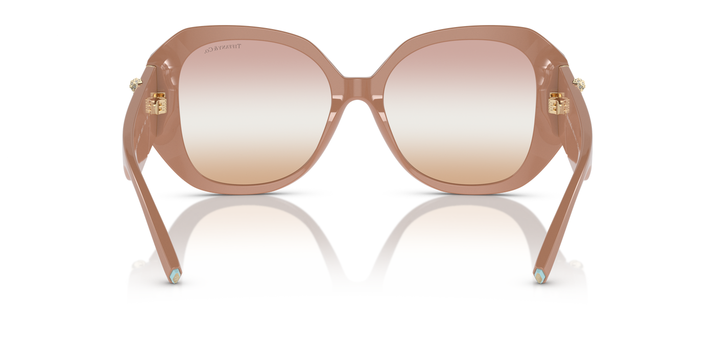 Gafas de Sol Tiffany & Co. Tf4207B TF4207B 8382EL 55 17