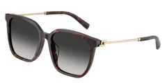 Sunglasses Tiffany TF4244D 80153C 56 17