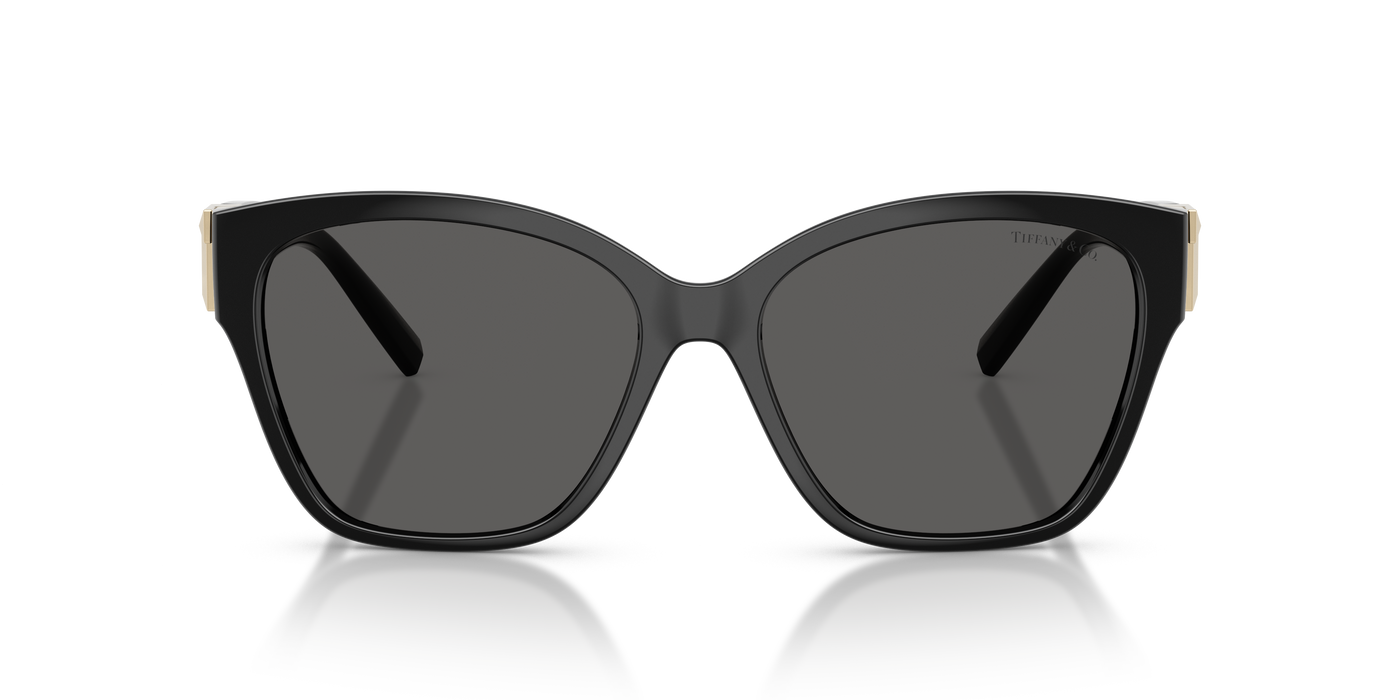 Gafas de Sol Tiffany&Co TF4254U 8001S4