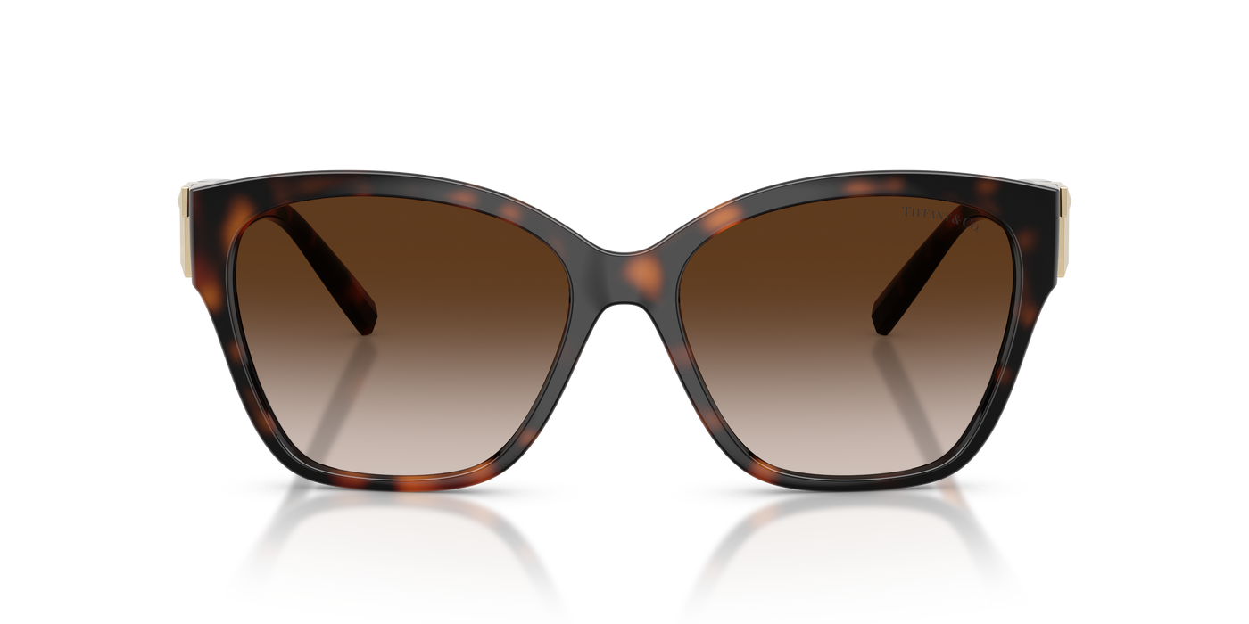 Gafas de Sol Tiffany&Co TF4254U 80153B