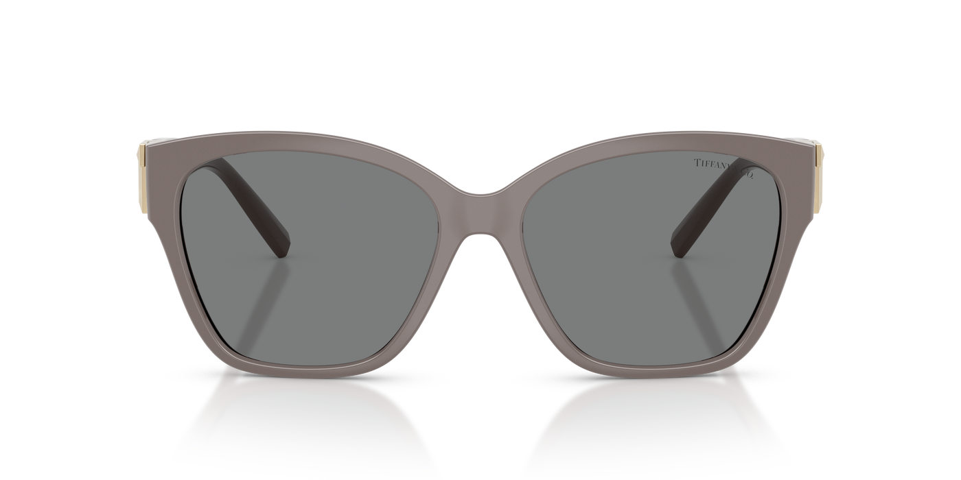 Gafas de Sol Tiffany&Co TF4254U 840187
