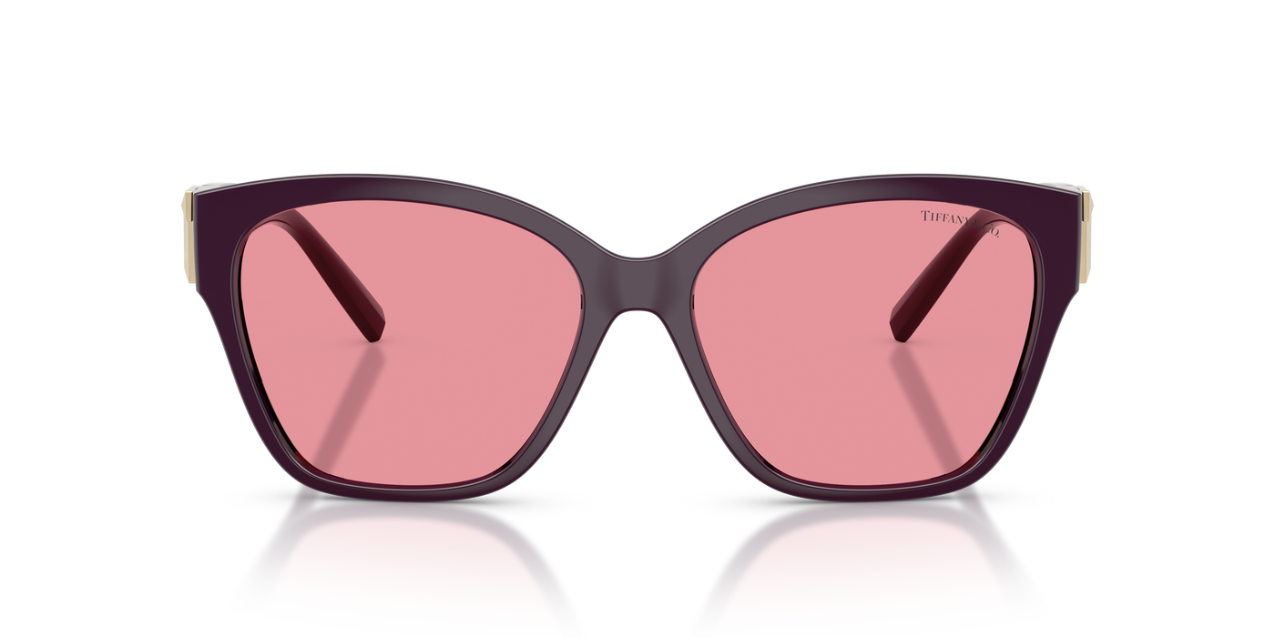 Gafas de Sol Tiffany&Co TF4254U 84279L