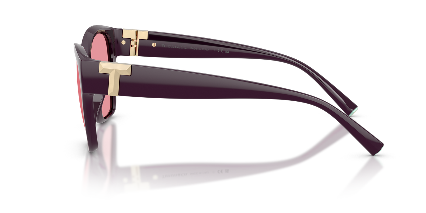 Gafas de Sol Tiffany&Co TF4254U 84279L