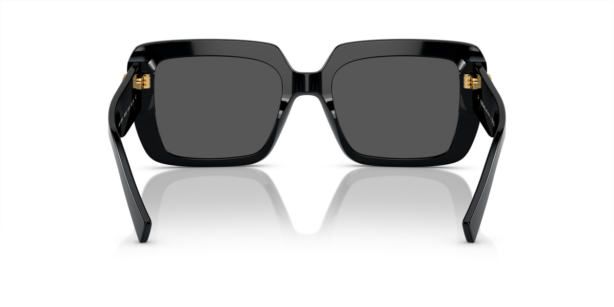 Gafas de Sol Versace VE4384B GB1/87 54 19