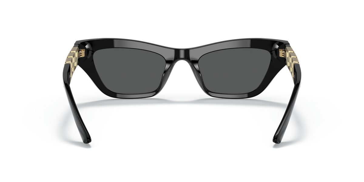 Sunglasses Versace VE4419 GB1/87 52 21