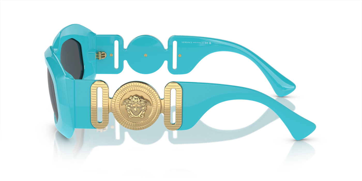Gafas de Sol Versace VE4425U 543987