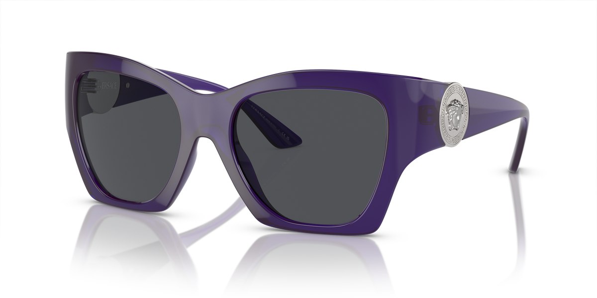 Sunglasses Versace VE4452 541987 55 19