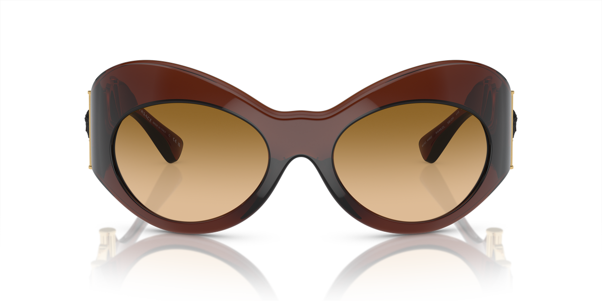 Sunglasses Versace VE4462 54462L 58 20