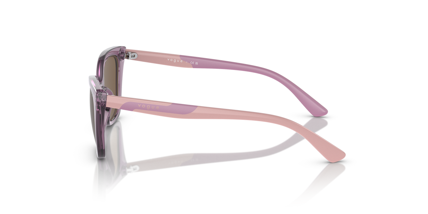 Gafas de Sol Vogue Eyewear Vj2020 VJ2020 306473 48 16