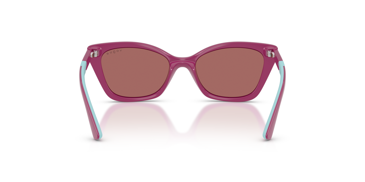 Gafas de Sol Vogue Eyewear Vj2020 VJ2020 321169 48 16
