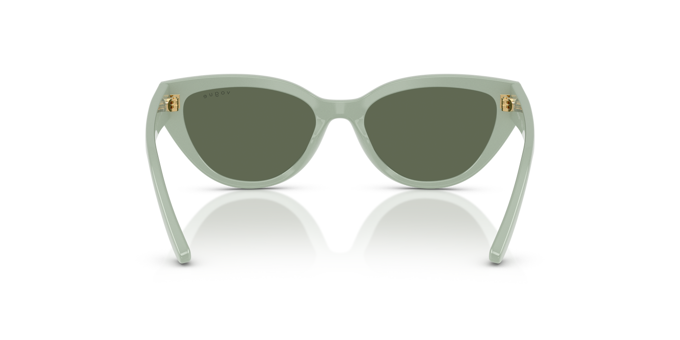 Sunglasses Vogue Eyewear Vj2026 VJ2026 318371 50 16