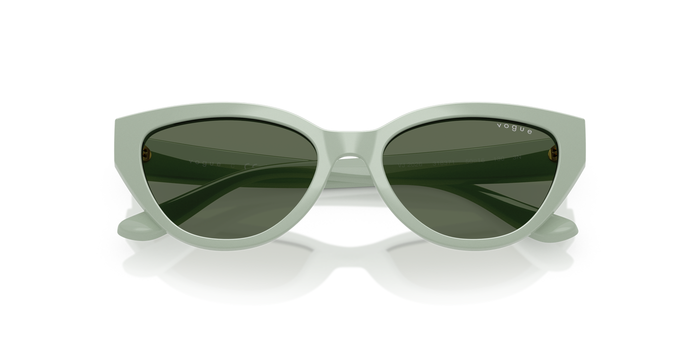 Sunglasses Vogue Eyewear Vj2026 VJ2026 318371 50 16
