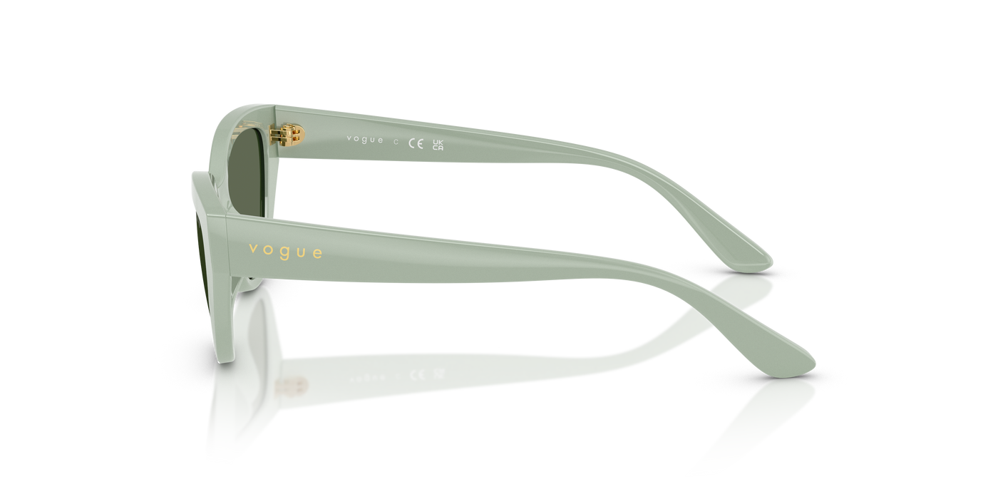 Sunglasses Vogue Eyewear Vj2026 VJ2026 318371 50 16