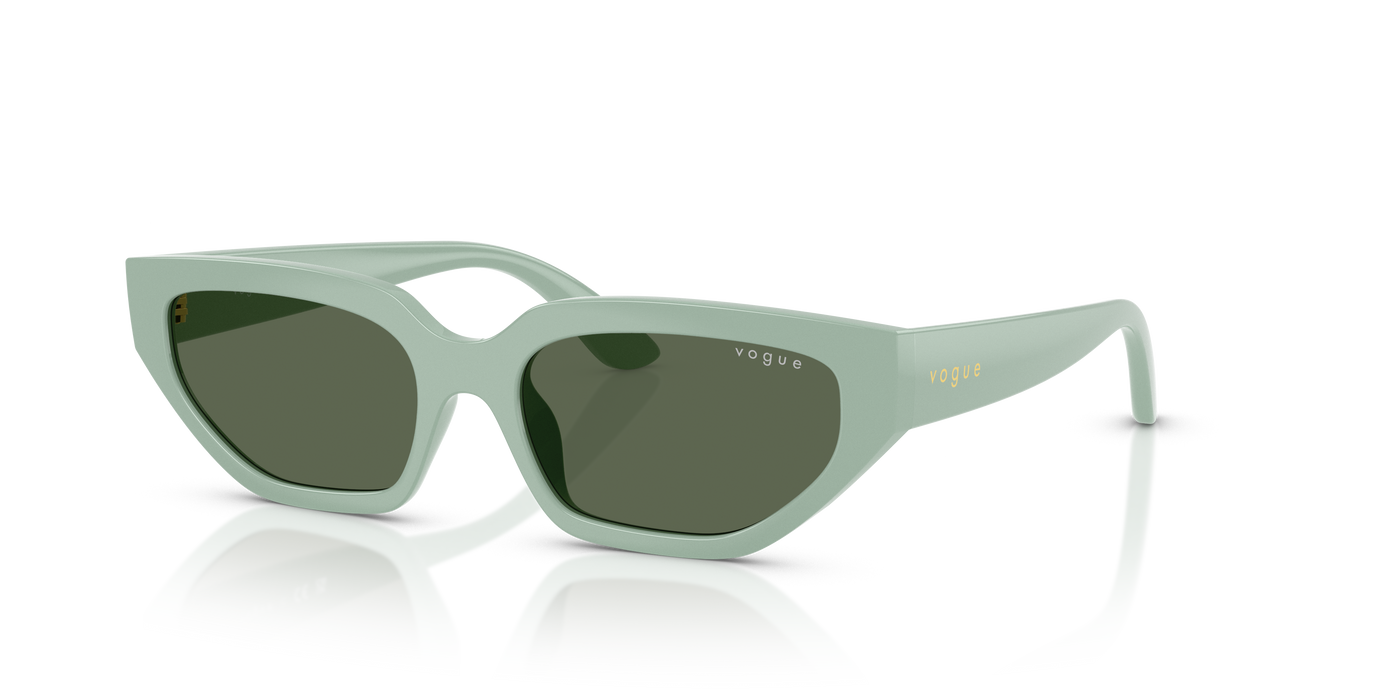 Gafas de Sol Vogue Eyewear Vj2029 VJ2029 320571 52 16