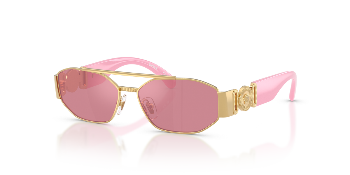 Gafas de Sol Versace VK2003 10029L 50 13