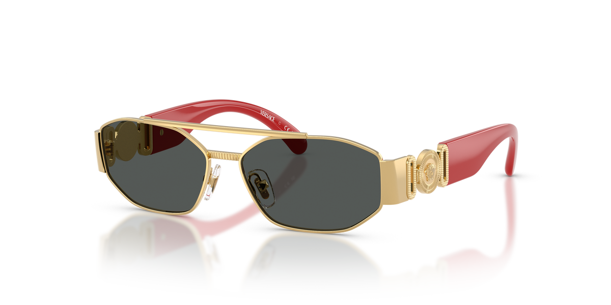 Gafas de Sol Versace VK2003 151287 50 13