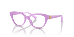 Sunglasses Versace VK3004 5424 48 15