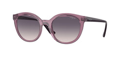 Gafas de Sol Vogue Eyewear VO5427S 276136 50 20