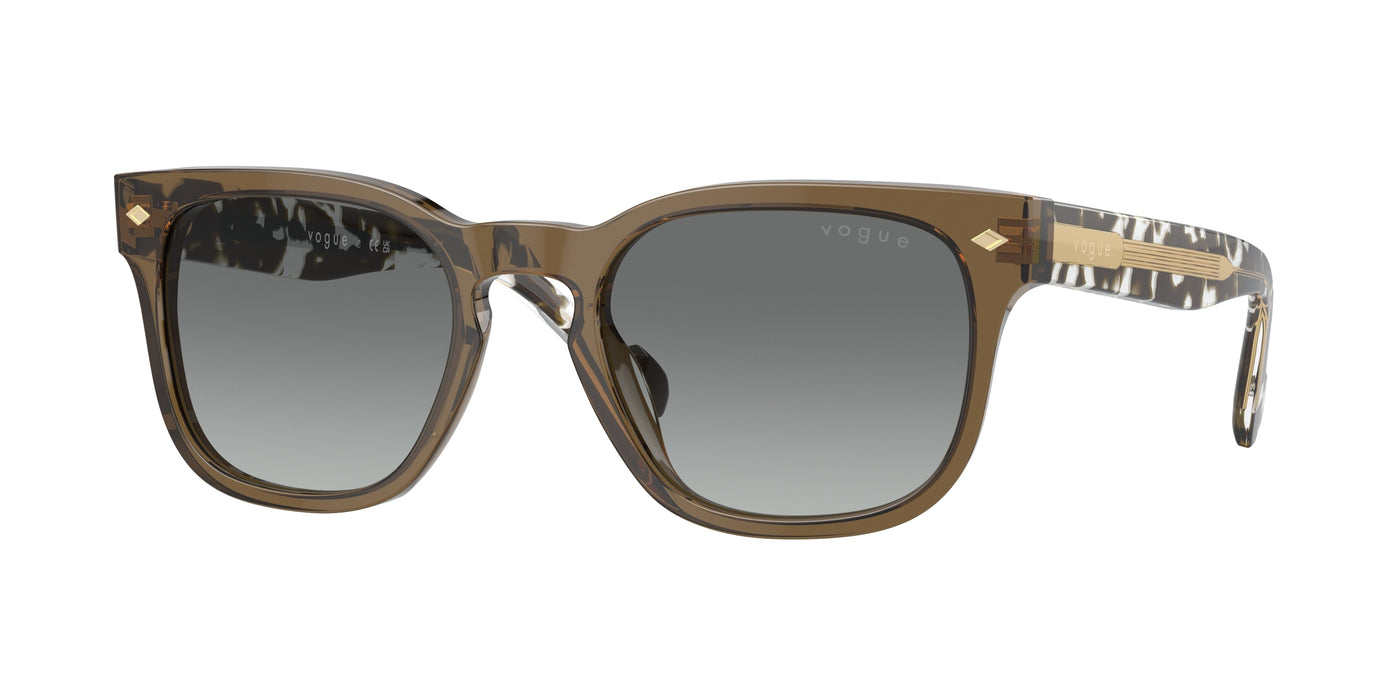 Gafas de Sol Vogue Eyewear VO5571S 314411 53 21