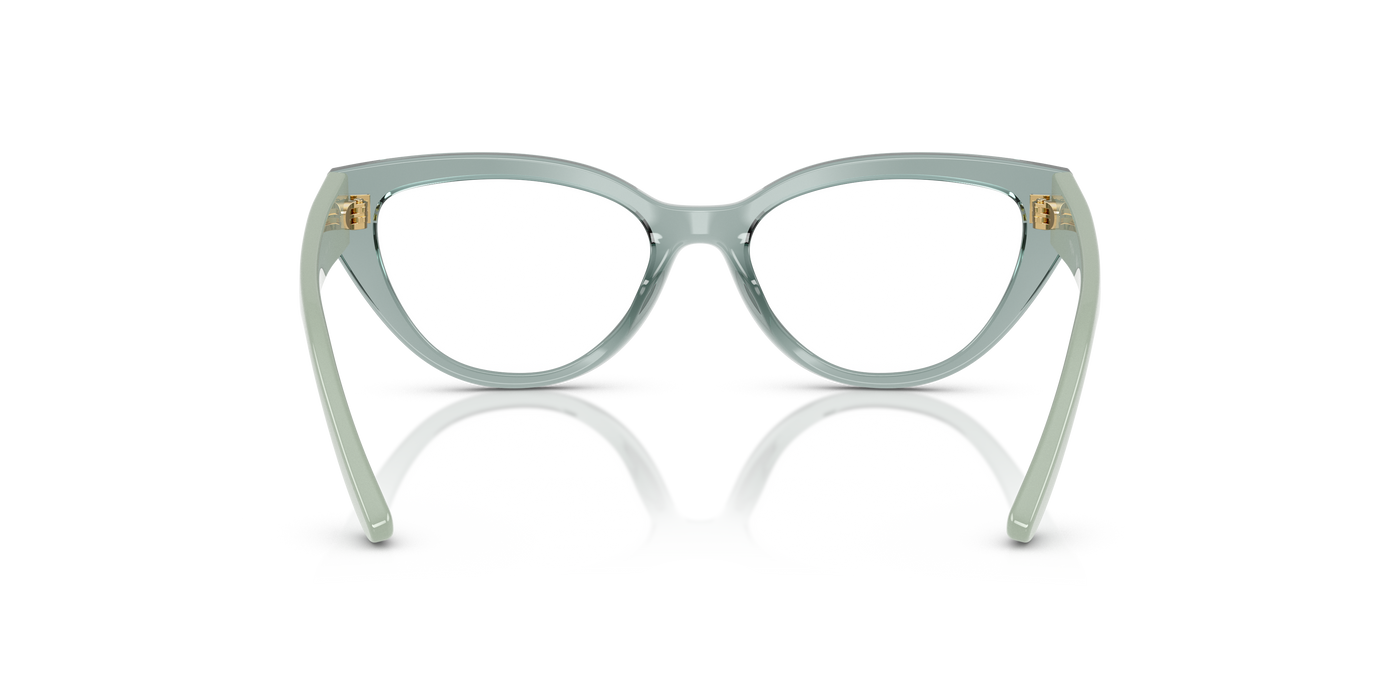 Gafas Graduadas Vogue Eyewear Vy2031 VY2031 3117 48 16