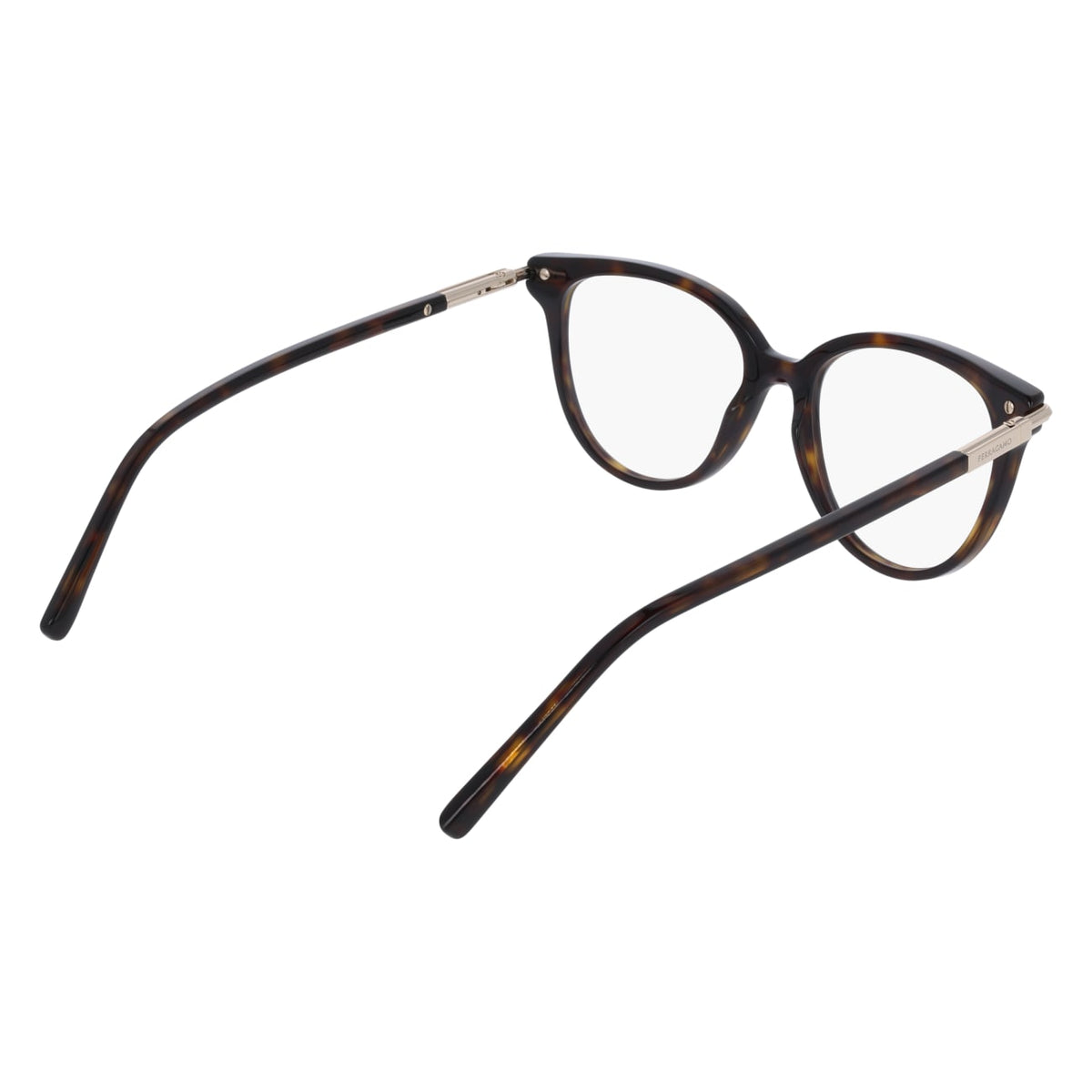 Gafas Graduadas Ferragamo SF3026 242 52 / 55 17