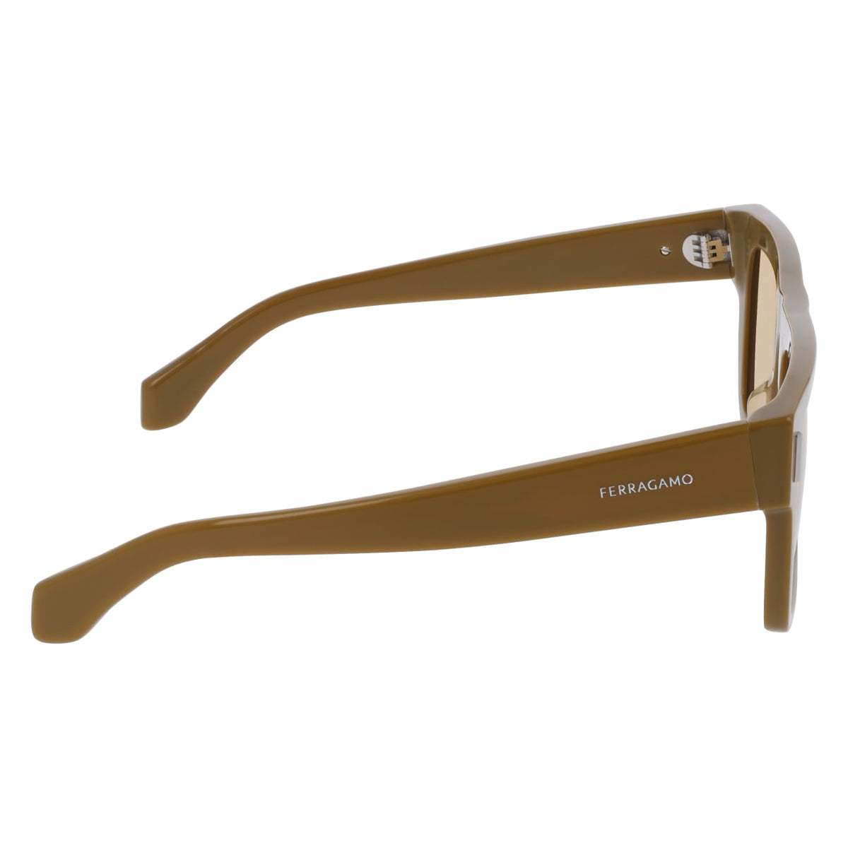 Gafas de Sol Ferragamo SF2063SE 320 53 19