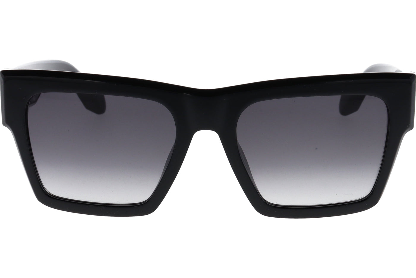 Gafas de Sol Just Cavalli JC038 0Z42 54 19