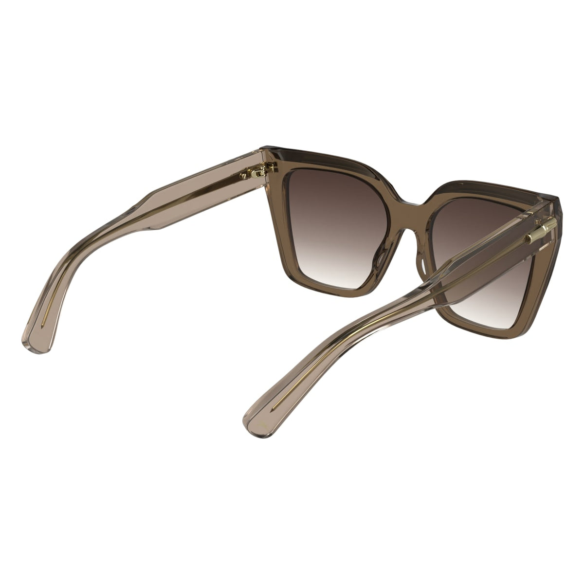Sunglasses Longchamp LO778S 272 54 19