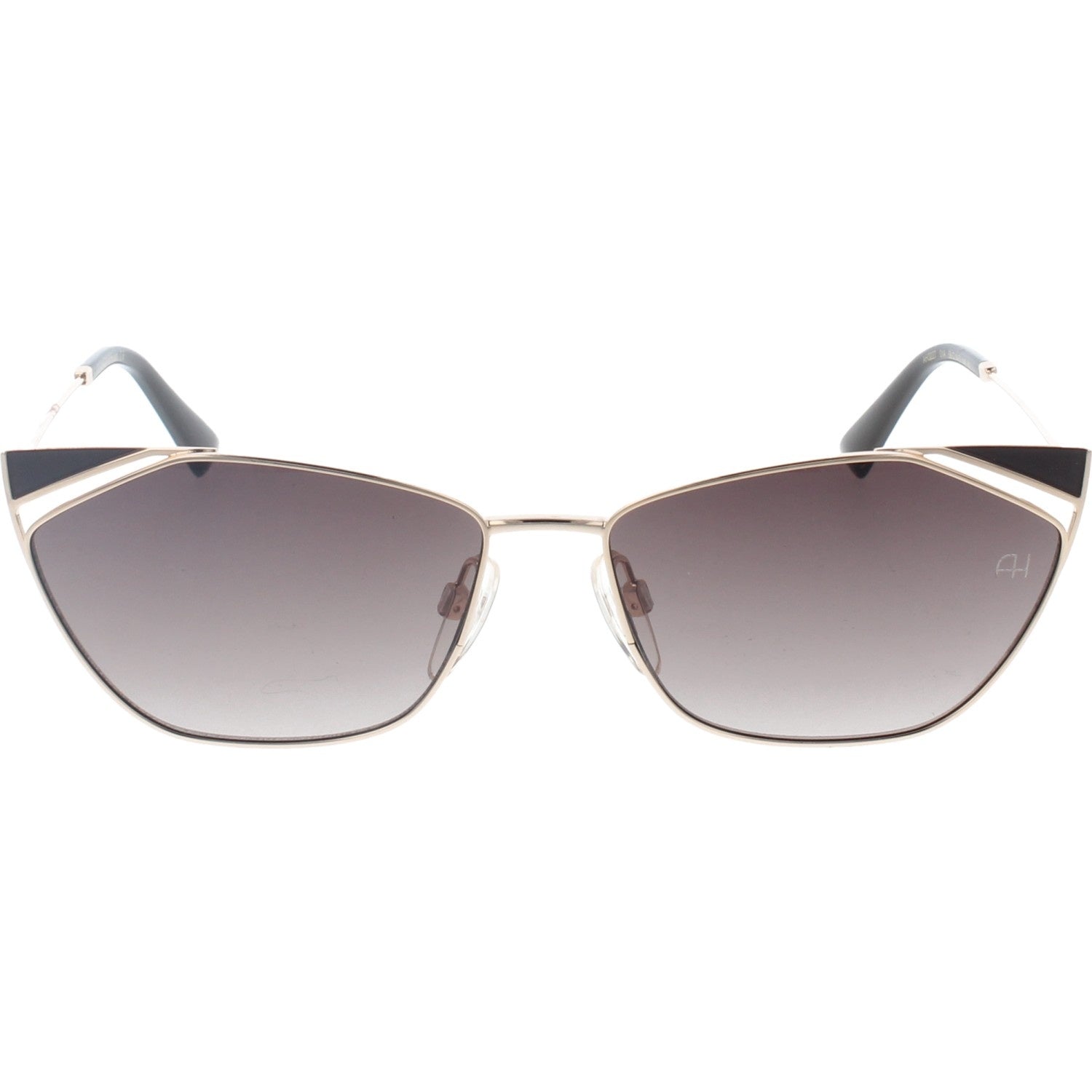 Gafas de Sol Ana Hickmann AH3227 01A 58 14