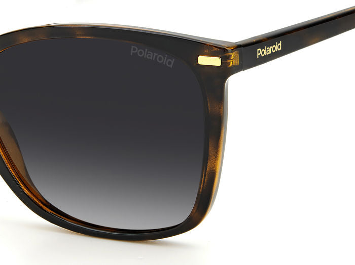Gafas de Sol Polaroid PLD 4108/S 086LA 55 19