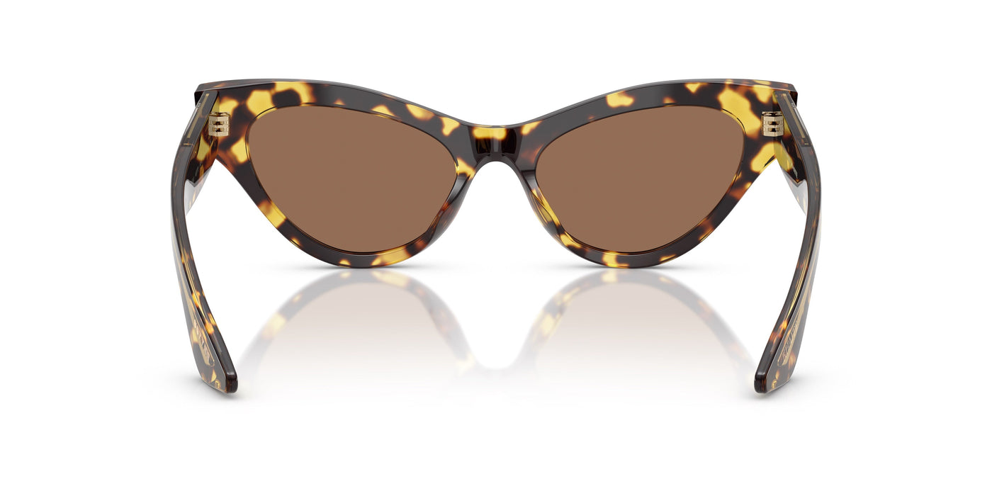 Gafas de Sol Oliver Peoples 1951C OV5573SU 140773 54 19