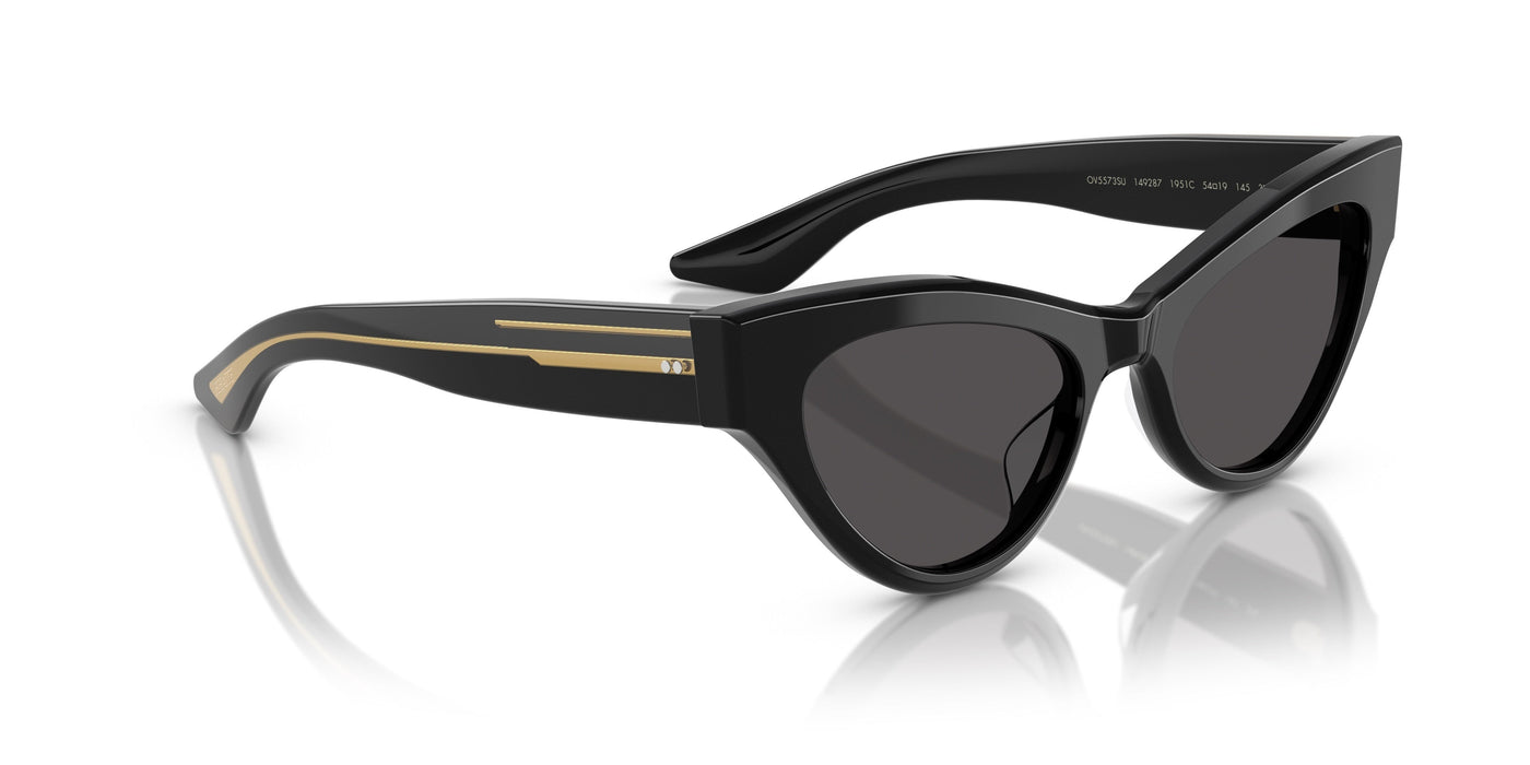 Gafas de Sol Oliver Peoples 1951C OV5573SU 149287 54 19
