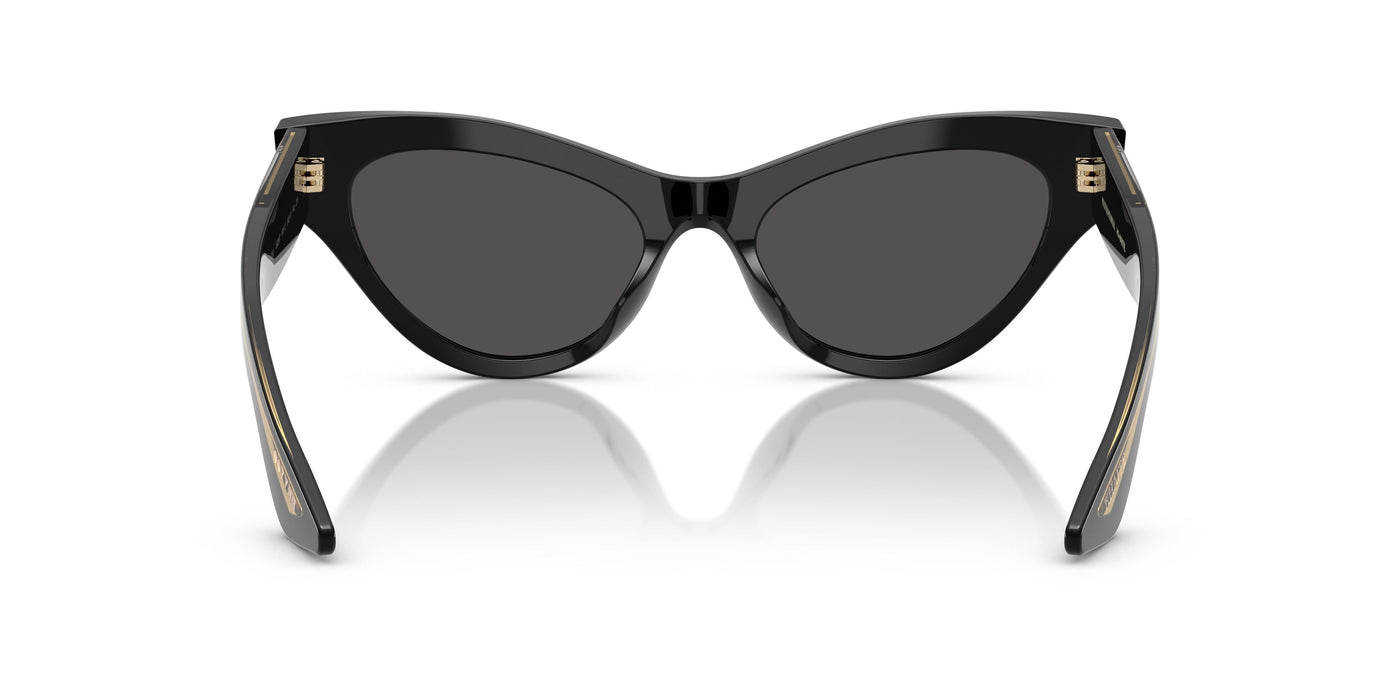 Gafas de Sol Oliver Peoples 1951C OV5573SU 149287 54 19