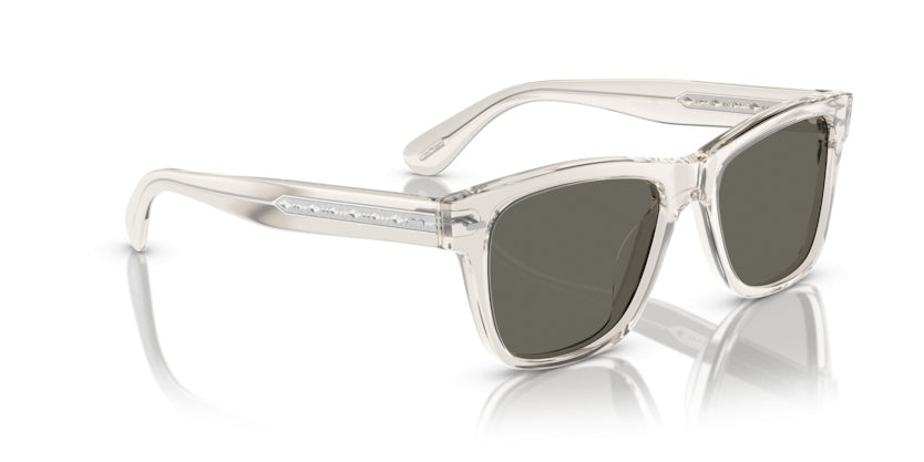 Gafas de Sol Oliver Peoples Oliver OV5393SU 1669R5 51 19