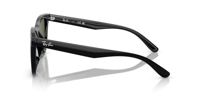 Gafas de Sol Ray-Ban RB4420 601/9A 65 18