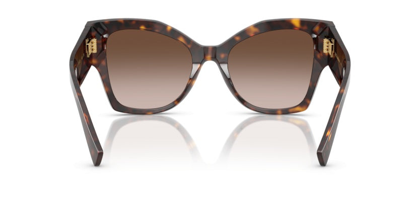 Gafas de Sol Dolce Gabbana DG4478 502/13 53 20