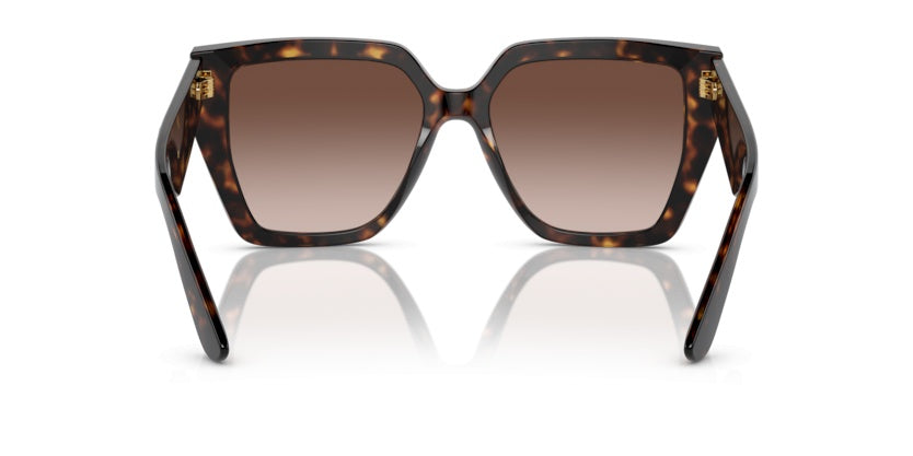 Gafas de Sol Dolce Gabbana DG4438 502/13 55 17