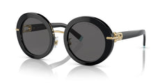 Gafas de Sol Tiffany&Co TF4201 8001S4 50 24