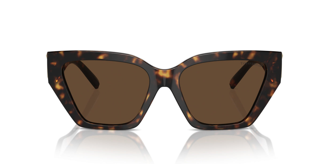 Gafas de Sol Tiffany&Co TF4218 80153G 55 17