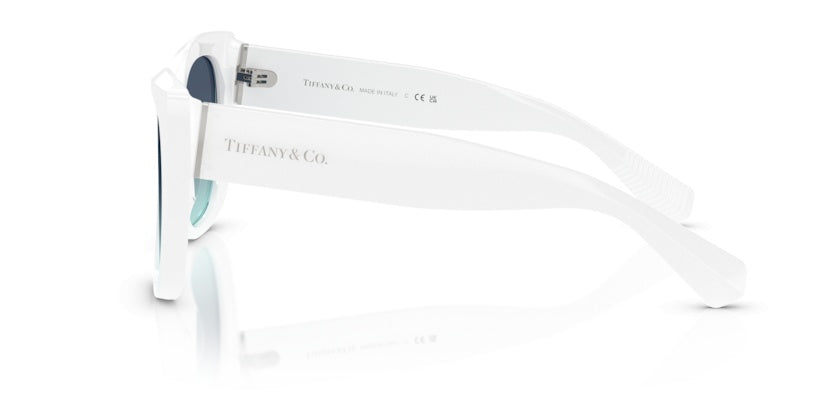 Gafas de Sol Tiffany&Co TF4229 83929S 55 17