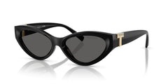 Gafas de Sol Tiffany&Co TF4225U 8001S4 54 17