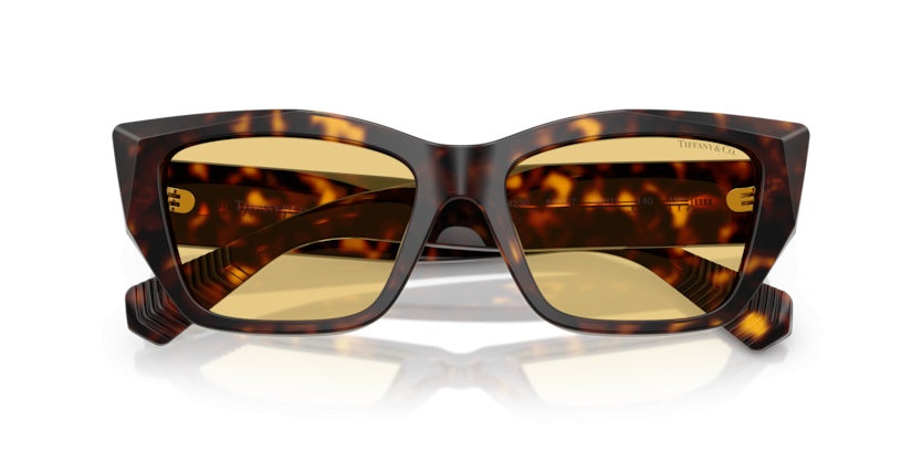 Gafas de Sol Tiffany&Co TF4230 8015/7 54 17