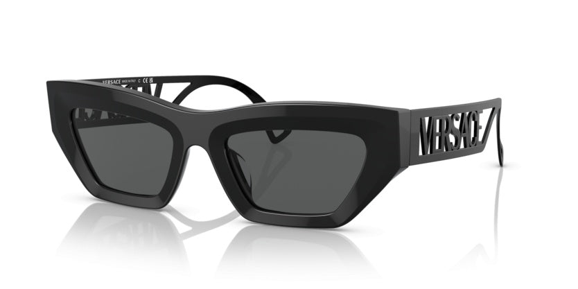 Gafas de Sol Versace VE4432U 523287 53 20