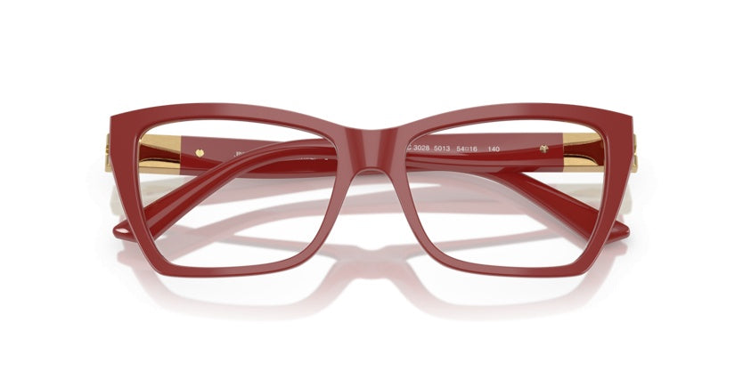 Gafas Graduadas Jimmy Choo JC3028 5013 54 16