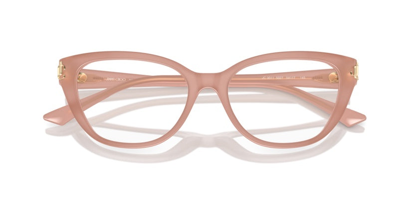 Gafas de Sol Jimmy Choo JC3011 5027 54 17