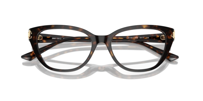 Sunglasses Jimmy Choo JC3011 5002 52 17