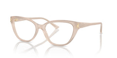 Gafas Graduadas Jimmy Choo JC3011 5025 52 17